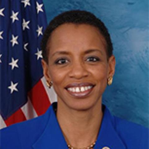 2014 Lipman Chair Congresswoman Donna Edwards smiling in front of American flag