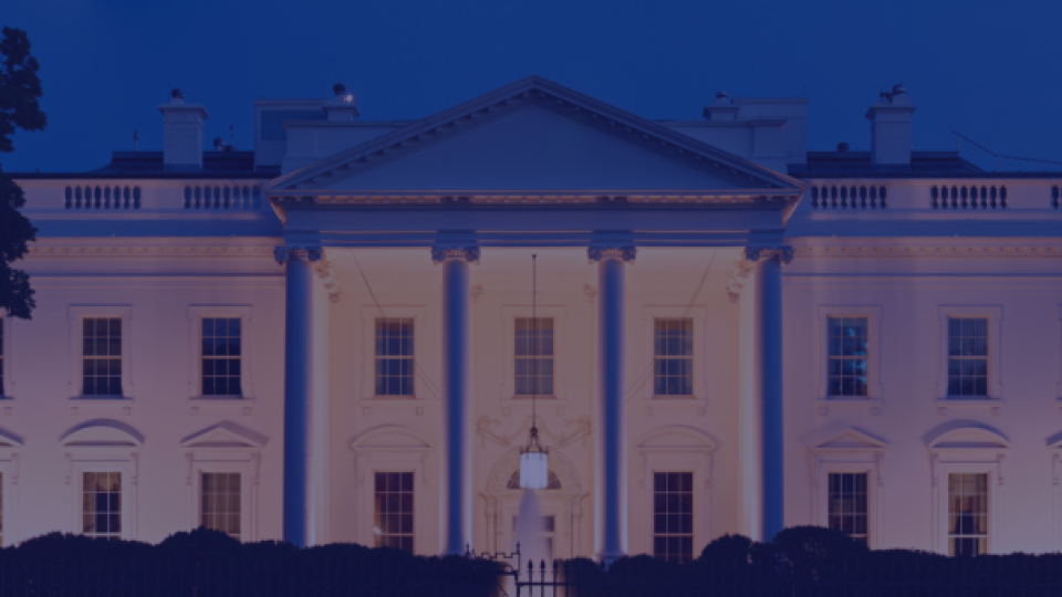 white house at night