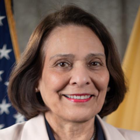 Assemblywoman Shama Haider's official portrait